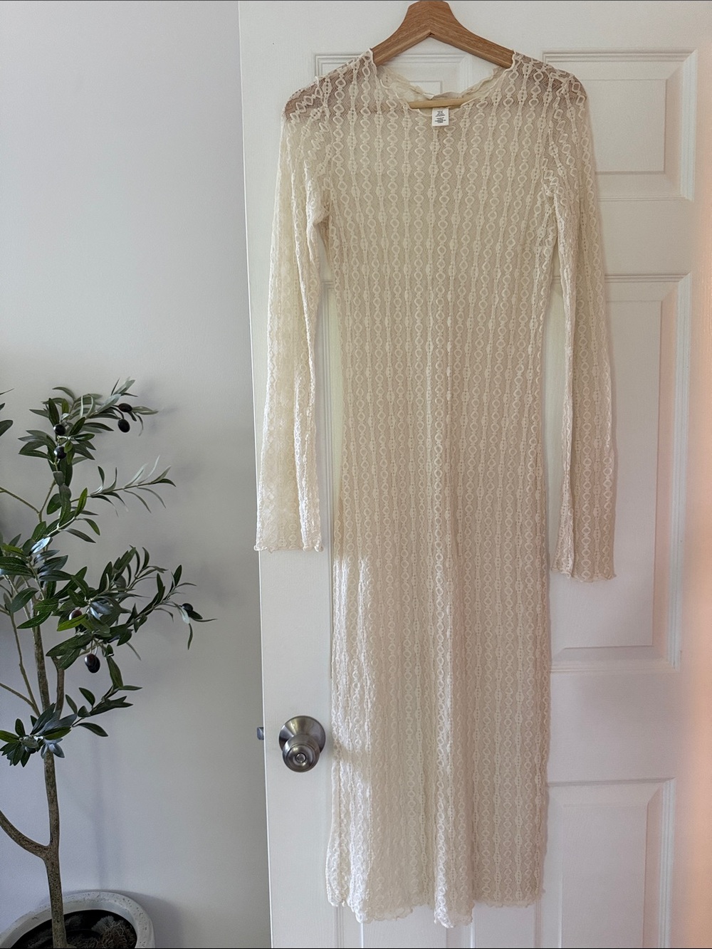Sheer Lace Long Sleeve Midi/Maxi Dress in Ivory